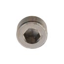 Verschlussstopfen ohne Bund mit Innensechskant R 1/4", 16 bar Messing vernickel
