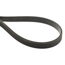 Strongbelt Keilrippenriemen Profil PH 735 – 2155 mm 2 - 6 Rippen Rippenband