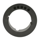Keilrippenscheiben für Taperspannbuchsen - Profil 8 x PL 112 x 8 für TB 1610